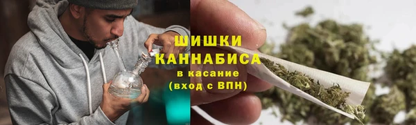 ГАЛЛЮЦИНОГЕННЫЕ ГРИБЫ Алзамай