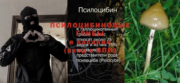 марки nbome Аркадак