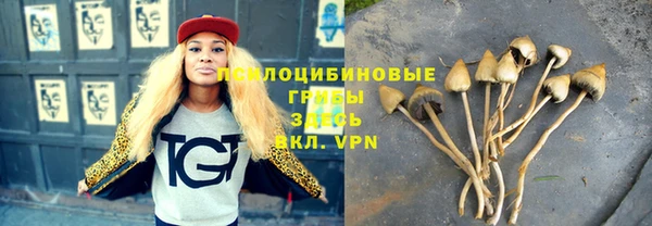 марки nbome Аркадак