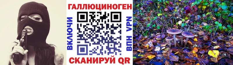 shop телеграм  где продают   Рузаевка  Галлюциногенные грибы MAGIC MUSHROOMS 